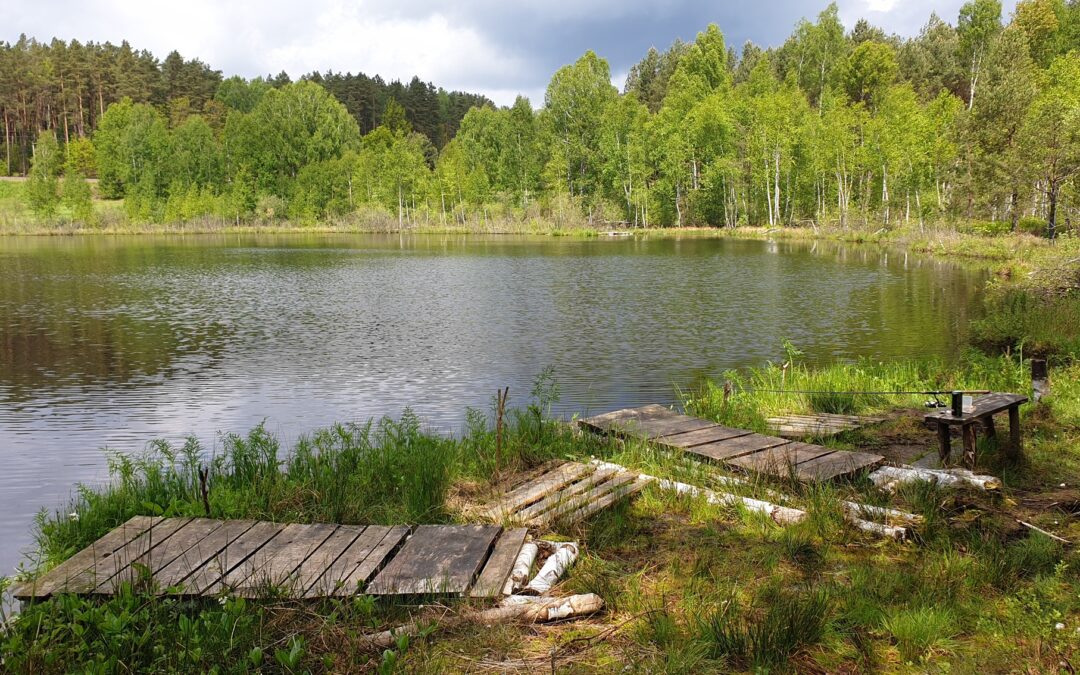 Wędkarstwo Olsztyn – łowisko w okolicach Olsztyna – Agroturystyka dla wędkarzy